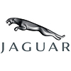 Jaguar Center Caps 
