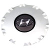 '02-05 Hyundai Sonata Alloy Wheel Center Cap 70695CC
