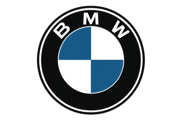 BMW Wheel Insert